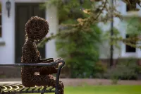 Luxury Coach House in beautiful rural village, scenic walks & 3 miles to Ledbury Hotel a Ledbury