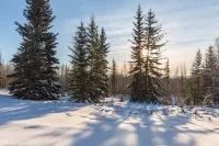 Beautiful Nottingham House: Secluded but Close to Town Hotels in College