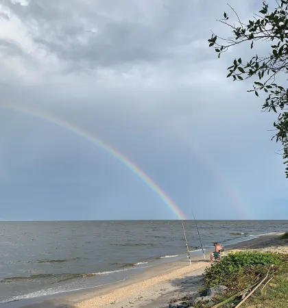 Mid-Century Modern on Private Beach, Designed by Award Winning Architect!