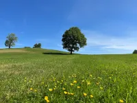 Dann bis Bald im Hammerwald ! Hotels in Stolberg