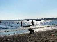 Located close to wedding venues, university, shops and eateries and Newport. Hotels in Bristol