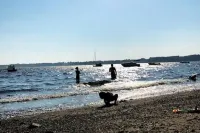 Located close to wedding venues, university, shops and eateries and Newport.