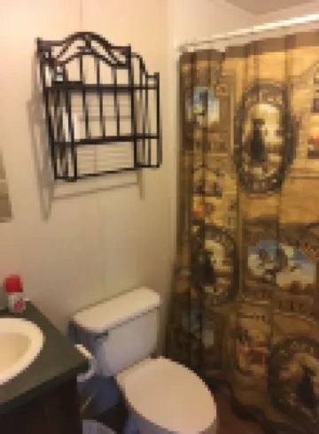 "Clean/Maintained Fully Furnished Lodging"-Wigeon