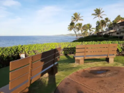 Panoramic Views, Upgraded 2 bed, 2.5 baths, AC