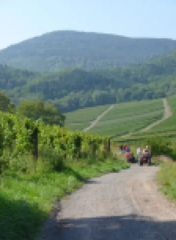 Idyllic Holiday Home in the Palatinate Forest