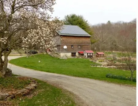 The Tree House at Underhill Hollow