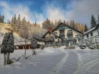Pensiunea Poiana Izvoarelor Hotels in Дорна-Кандренілор