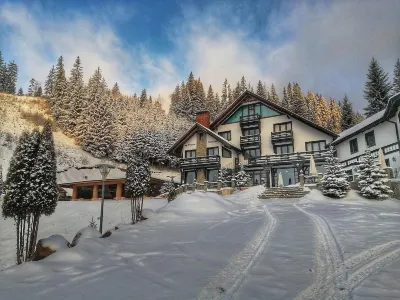 Pensiunea Poiana Izvoarelor Hotels in 