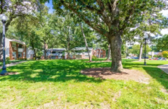 Comfortable and Quiet Condo near the Village and NC State