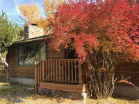 Comfy, charming cabin on the Salmon River a few miles from Gold Bug Hot Springs