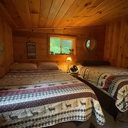 Cozy cabin in the heart of the Adirondacks Отели в г. Уэбб
