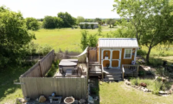 Country Escape - Live to be Wild