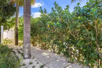Mango House en Dania Beach Отели в г. 