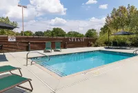 Wingate by Wyndham Round Rock Hotel & Conference Center - Pool