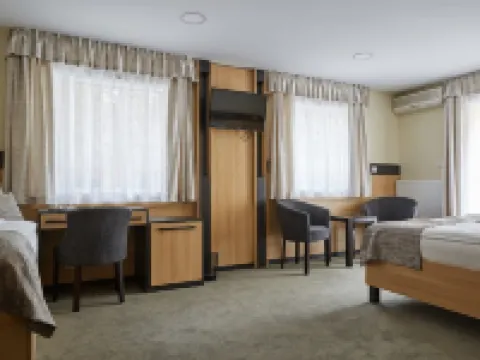 ゴールド ハウス パンジオ バラトンフレドのホテル