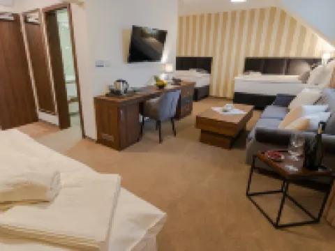 Wellness Hotel Demänová Hotels in Liptovsky Mikulas