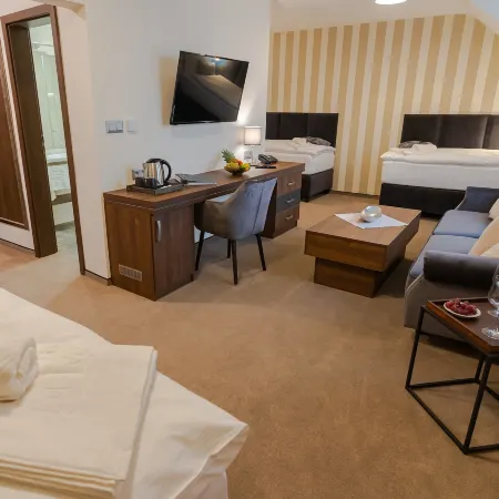 Wellness Hotel Demänová