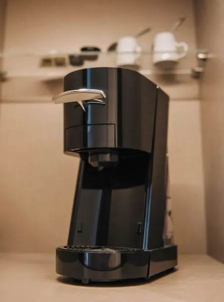 溫莎託薩飯店 – 限成人+16 房間 Photos