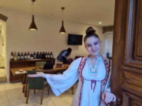 Villa Permet Hotels in Permet