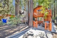 OUR Cabin IN THE Woods #2476 - Chalets