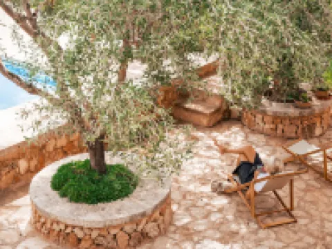 Agroturismo Son Barceló Mas Hoteles en Campos