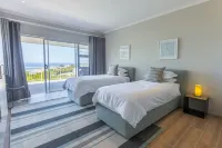 Pansy Shell - Pet friendly