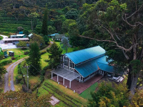 Hotel Finca Lerida Coffee Plantation and Boutique Hotel Hotels in Серро Пунта