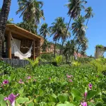 Joju Bangalôs & Bistrô