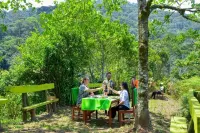Gorilla Hills Eco Lodge Hotels near Ruhija Uganda
