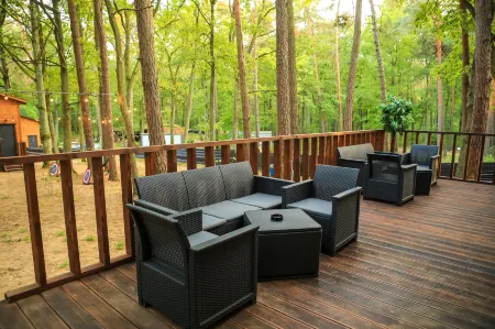 Bizon Village Отели в г. Пясечно