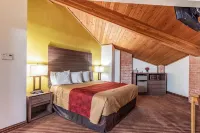 Econo Lodge Inn & Suites Các khách sạn ở McKinney