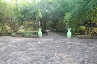 Gecko Nature Lodge Home of Swahili Divers the Best Dive Center and Famous Gecko Restaurant Hotels in 