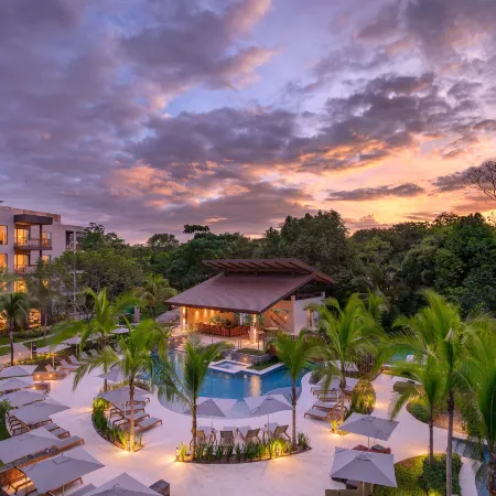 Botanika Osa Peninsula, Curio Collection by Hilton