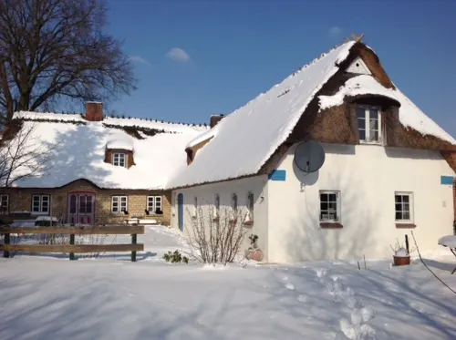 Pure idyll in a secluded location under the thatch at the edge of the forest Hotels in Schleswig-Flensburg
