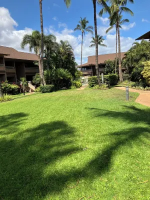 Clean Comfortable Condo that is Steps to the Beach, Affordable w/Free Parking