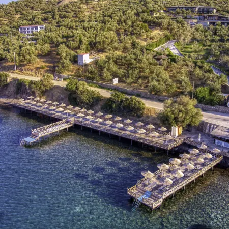 Assos Dionysos Special Class Hotel Adults Only 12 Years