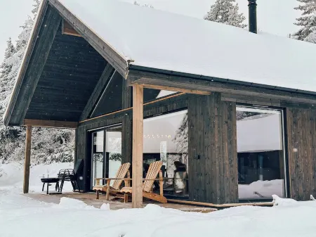 Modern Mountain Cabin - 3 Bedrooms - Sleeps 7