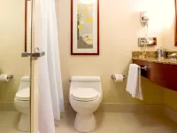 فندق سان كارلوس نيويورك Hotels near جراميرسي