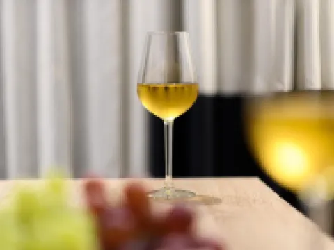 Gkeea Boutique Hotel Hotels in Aristotelis