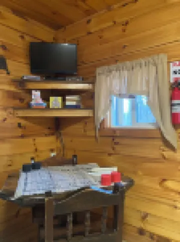 Cozy & Efficient cabin w/ river access. Pet Friendly!