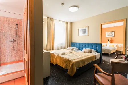 Hotel Pacific Отели в г. Dumbravita