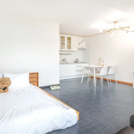 Chuncheon Dogandstay