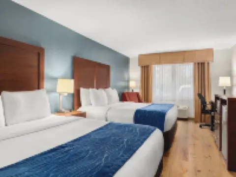 Comfort Inn & Suites Vancouver Downtown City Center Hotels in Vancouver