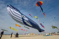 Hotel Losanna Cervia - Ocean View