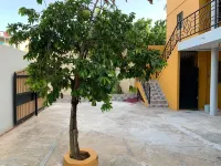 Glamour Hotel Hotels in 