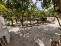 Diamoni Afroditi