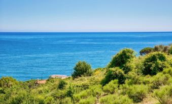 Le Orchidee 14 BK in Sanremo