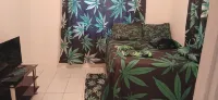 Beautiful 1-Bedroom in St Thomas Jamaica Hotels in Leith Hall
