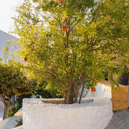 Villa Anton by Cura Villas Collection