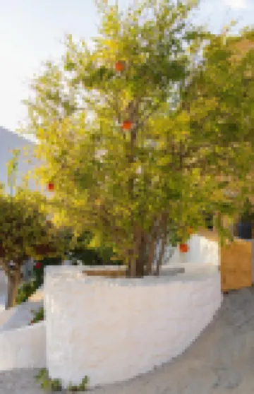 Villa Anton by Cura Villas Collection